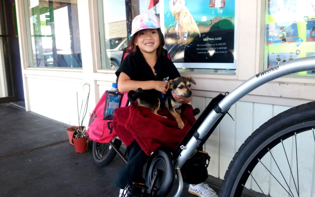 PUPPERBIKEKUNG14