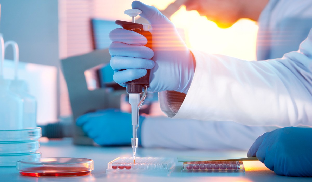 All research reports use roughly the same format