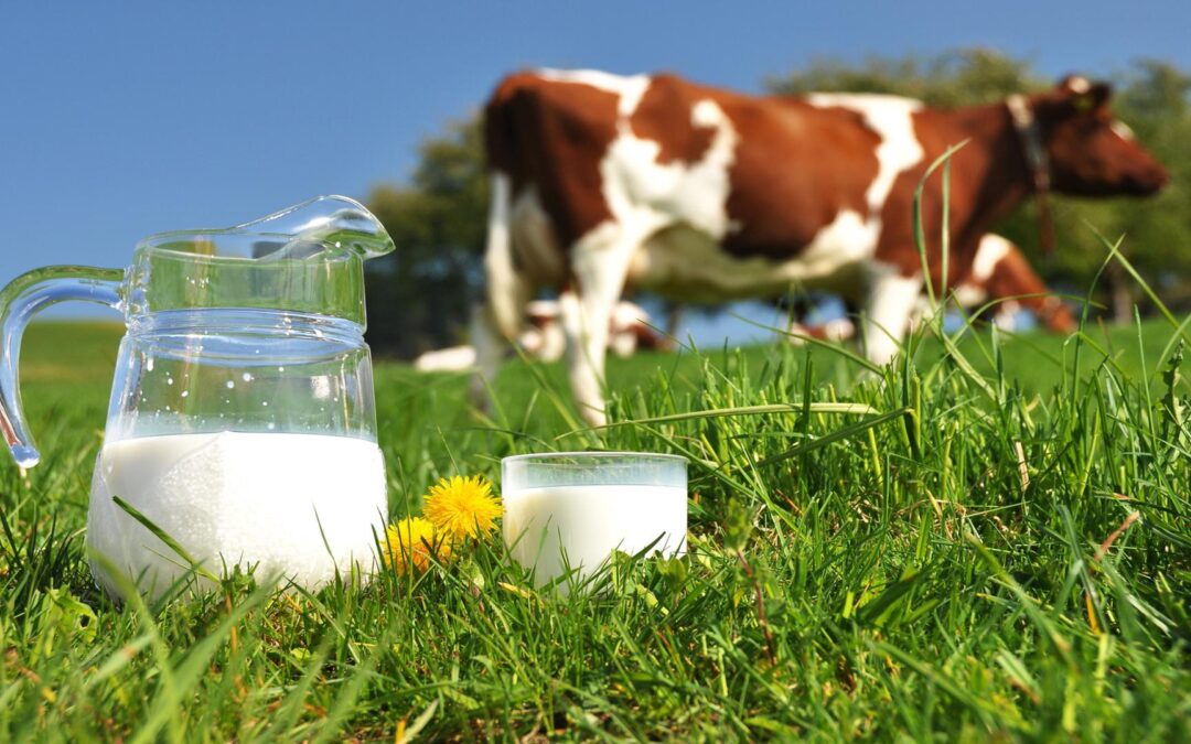 Raw_Milk